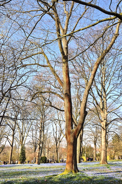 Fruehling2012   067.jpg